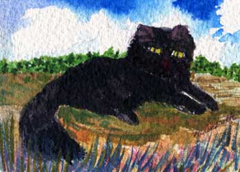 "King of the Hill" by Mary Lou Lindroth, Rockton IL - Watercolor